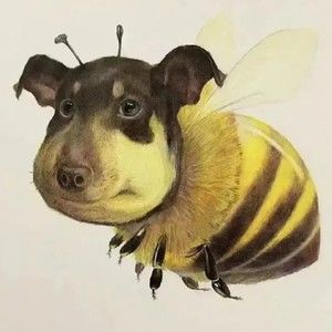 Meet your Posher, Dalton